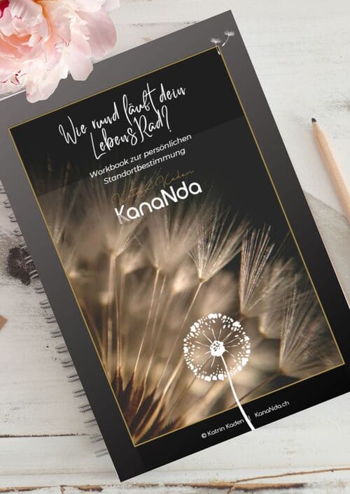 Foto LebensRad (2) Konfliktkompass