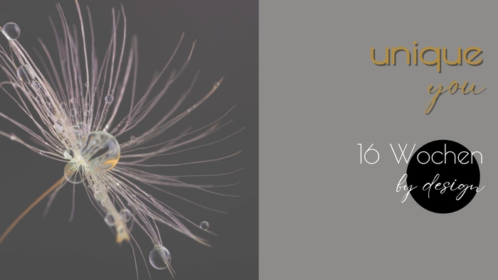 unique you 16 Wochen (1)